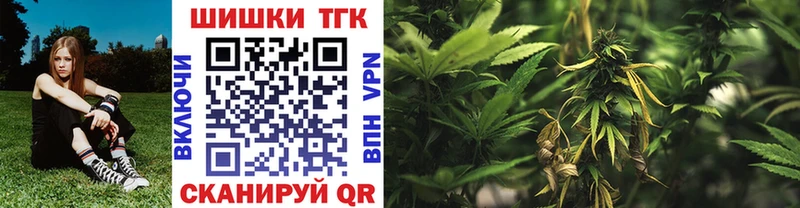 Бошки Шишки Amnesia  где купить наркоту  гидра ТОР  Чебоксары 